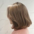 베이지 앤 브라운 이미지