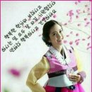 소떼들