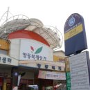 양동수산시장1 이미지