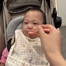 본죽 | 베이비 본죽 후기 이유식 • 한우버섯무죽 • 시판이유식 • 실온이유식 • 내돈내산 후기