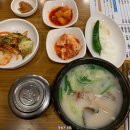 대잠약국 | 2023년 4월의 한 달 / 행동패턴은 집-회사-집-회사 !! 사람을 아무도 안 만나는 거 너무 익숙해져버렸...