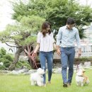 위례중앙동물의료센터 이미지