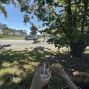 112901-바007-2 | 007