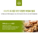 에스디 시너지 이미지