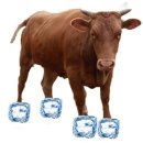 소신 - 서초구 강남대로30길 65 | 소신