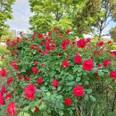 계양경기장 이미지