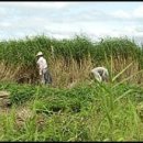 갑이농장 이미지