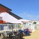 힙독 애견카페 이미지