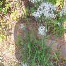 연정황토펜션 이미지