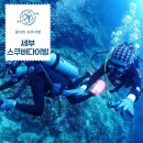 노블레스크리닝 | 세부 스쿠버다이빙 노블레스 다이브에서 초보도 쉽게 자격증 딴 후기