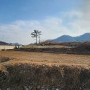 상구농장 이미지