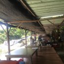 상록수 민박 이미지