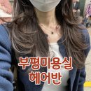 부평희망 원로의집 | 헤어반 부평 미용실, 레이어드컷과 원샷클리닉 후기