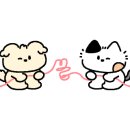 여우골 초밥(신촌점) 이미지