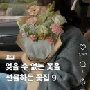 화가플라워 | 마산 양덕동 꽃집 화가플라워 꽃다발 내돈내산 솔직후기
