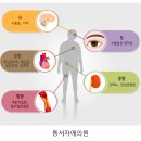 자애의원 이미지
