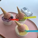 또와젤라또 | 울진 수제젤라또 맛집 또와젤라또 솔직후기
