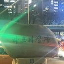 주영농산 | 난 강백호