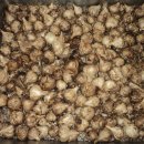 동상건강원 이미지