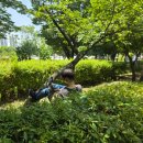 100억샵아카데미