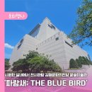 김해문화의 전당 윤슬미술관 | 시원한 실내에서 전시관람 김해문화의전당 윤슬미술관 &#39;파랑새; THE BLUE BIRD&#39;