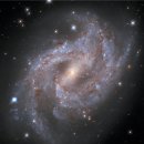 2020-10-23 NGC 2525의 초신성(Supernova in NGC 2525) 이미지