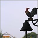 용설농장 이미지