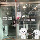 꽃보다예쁘개 이미지