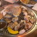 돼바라기 네이버블로그