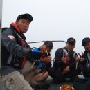 갈매기1호 이미지