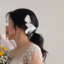 르보아헤어