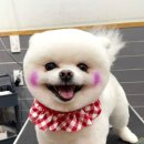 리트그룸