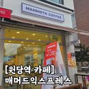 매머드익스프레스고양