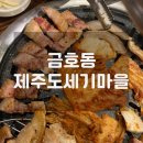 제주 도세기 마을 이미지