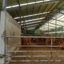 오천축사 이미지