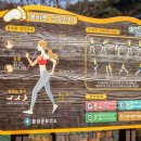 쑥부쟁이(용산저수지)둘레길 이미지