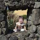 아쿠아플라넷 제주 | 제주도 아기와 가볼만한곳 - 아쿠아플라넷제주 후기, 아쿠아카페