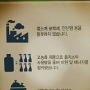 센스라인