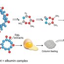 맑은아침 이미지