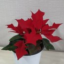 김한샘봄한의원 | 소화가 잘됐음 좋겠다.