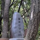 DEAR SOL 이미지