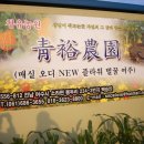 청유 이미지