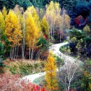 비밀의 정원 이미지