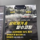 꼼꼼이크리닝 | 서초손세차 배트케이브에서 받은 프리미엄 유막제거&amp;발수코팅 솔직 후기