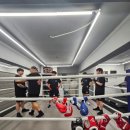 빅보스 복싱 체육관 이미지