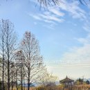 동량면 달미2길 4, (용교리) | 충주 동량면 용교생태공원 힐링 스팟 산책 코스 추천