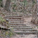 남산공원길2 이미지