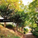 돝섬해상유원지 이미지