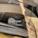 전봉준로 이미지