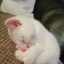 몽글몽글# 이미지